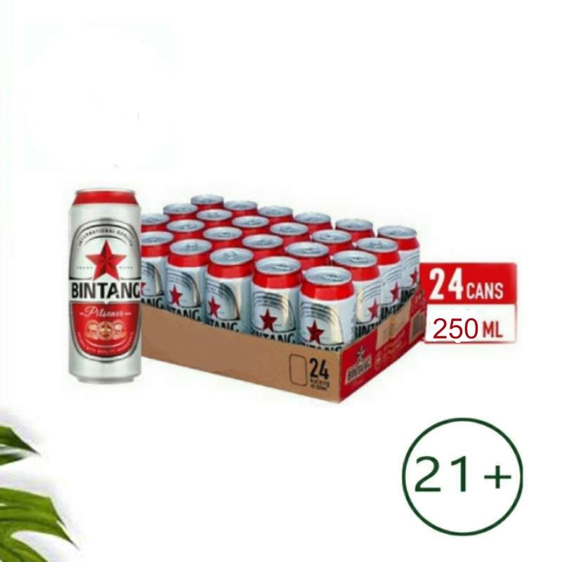 BEER BINTANG 250ML_0