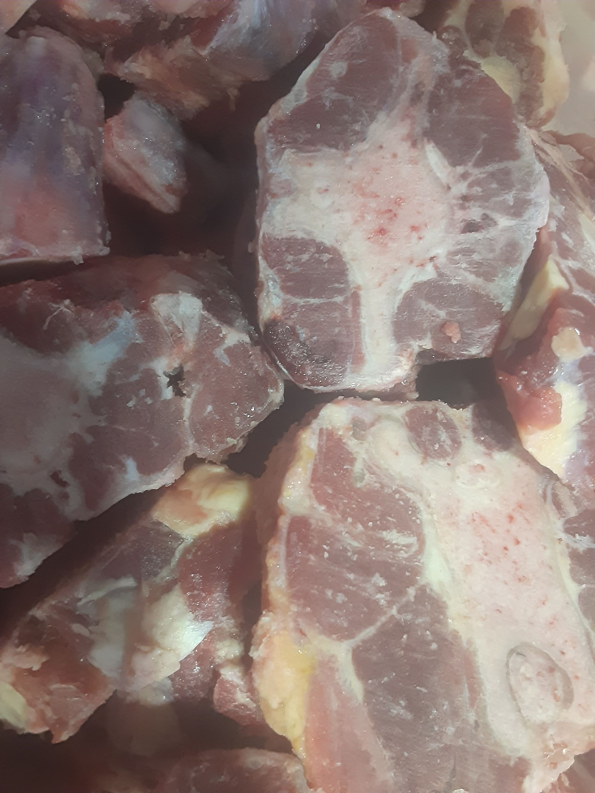 Oxtail_1