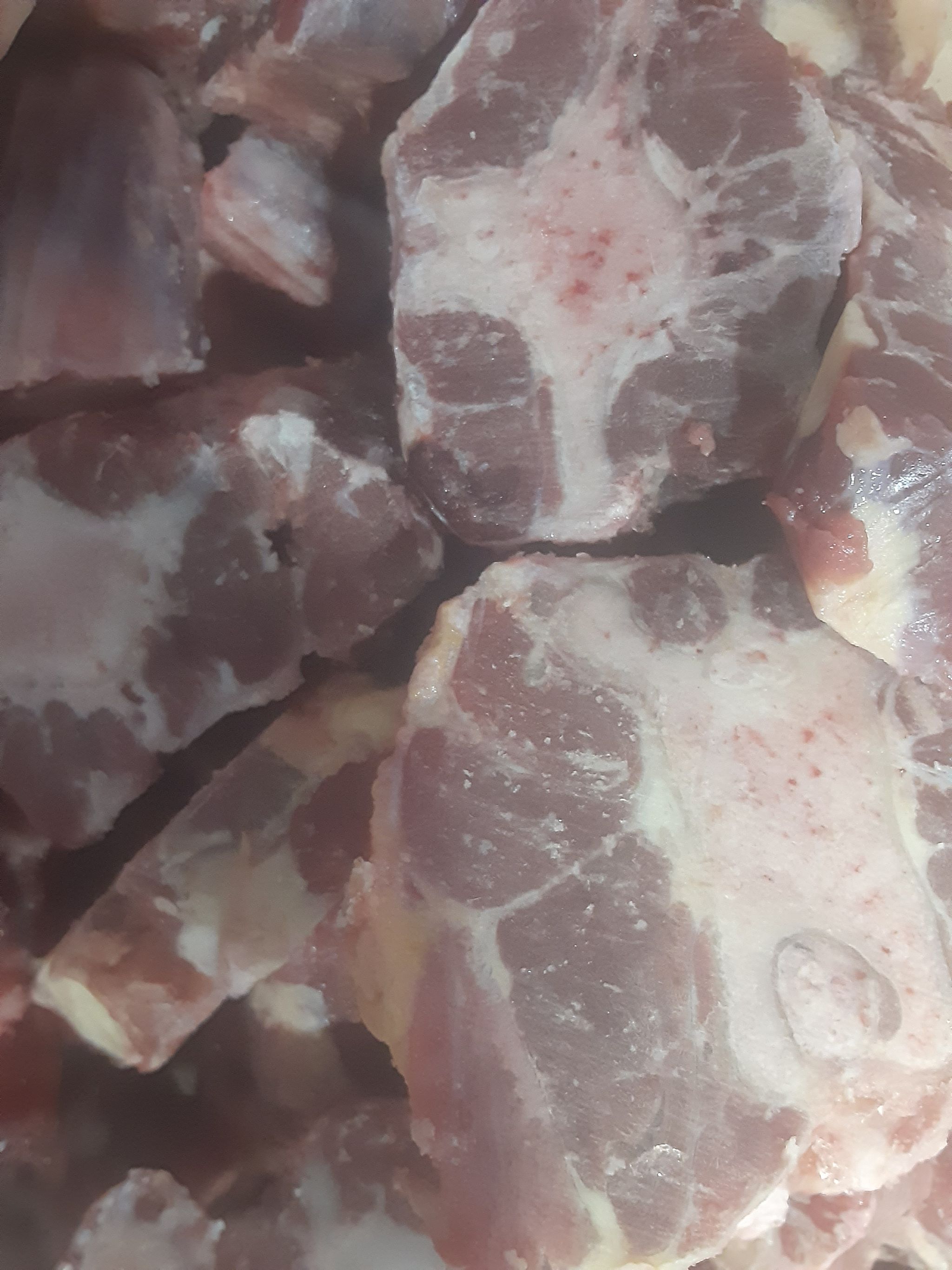 Oxtail_0