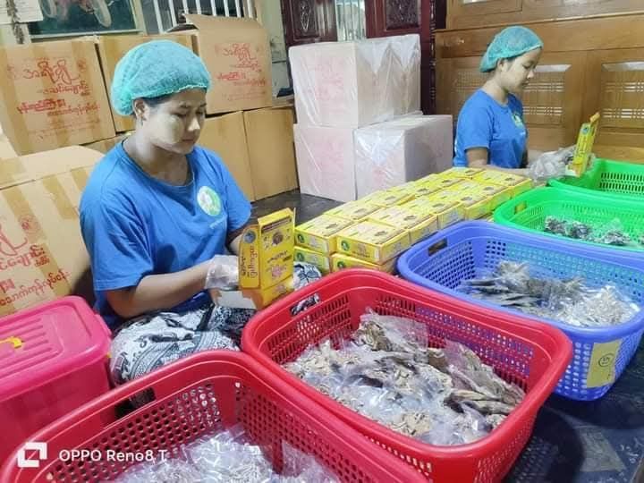 အရီးချို_ပခုက္ကူ ဆင်ချောင်း ပုန်းရည်ကြီး_15
