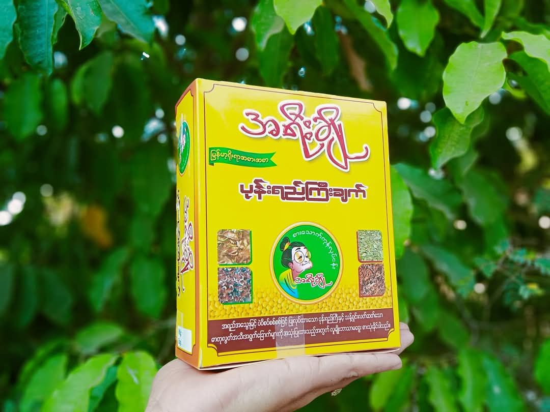 အရီးချို_ပခုက္ကူ ဆင်ချောင်း ပုန်းရည်ကြီး_5