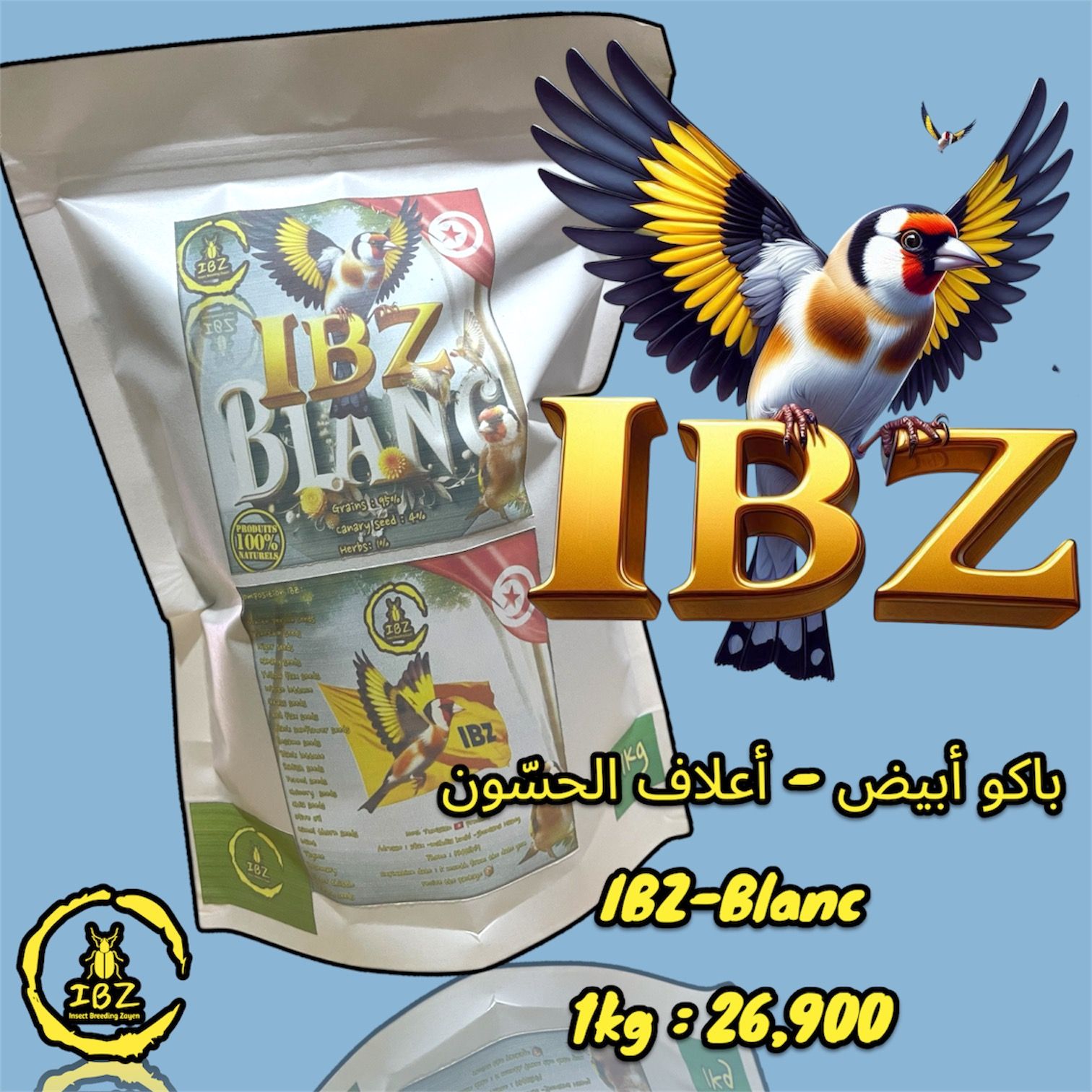 IBZ-Blanc _0