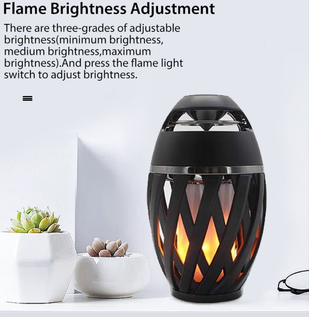 Flaming Bluetooth Speaker_8