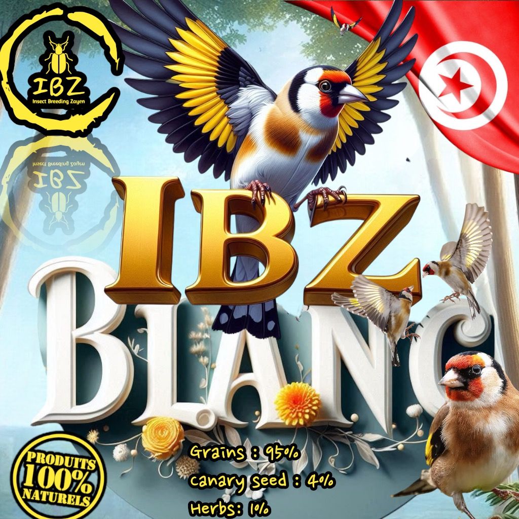 IBZ-Blanc _3