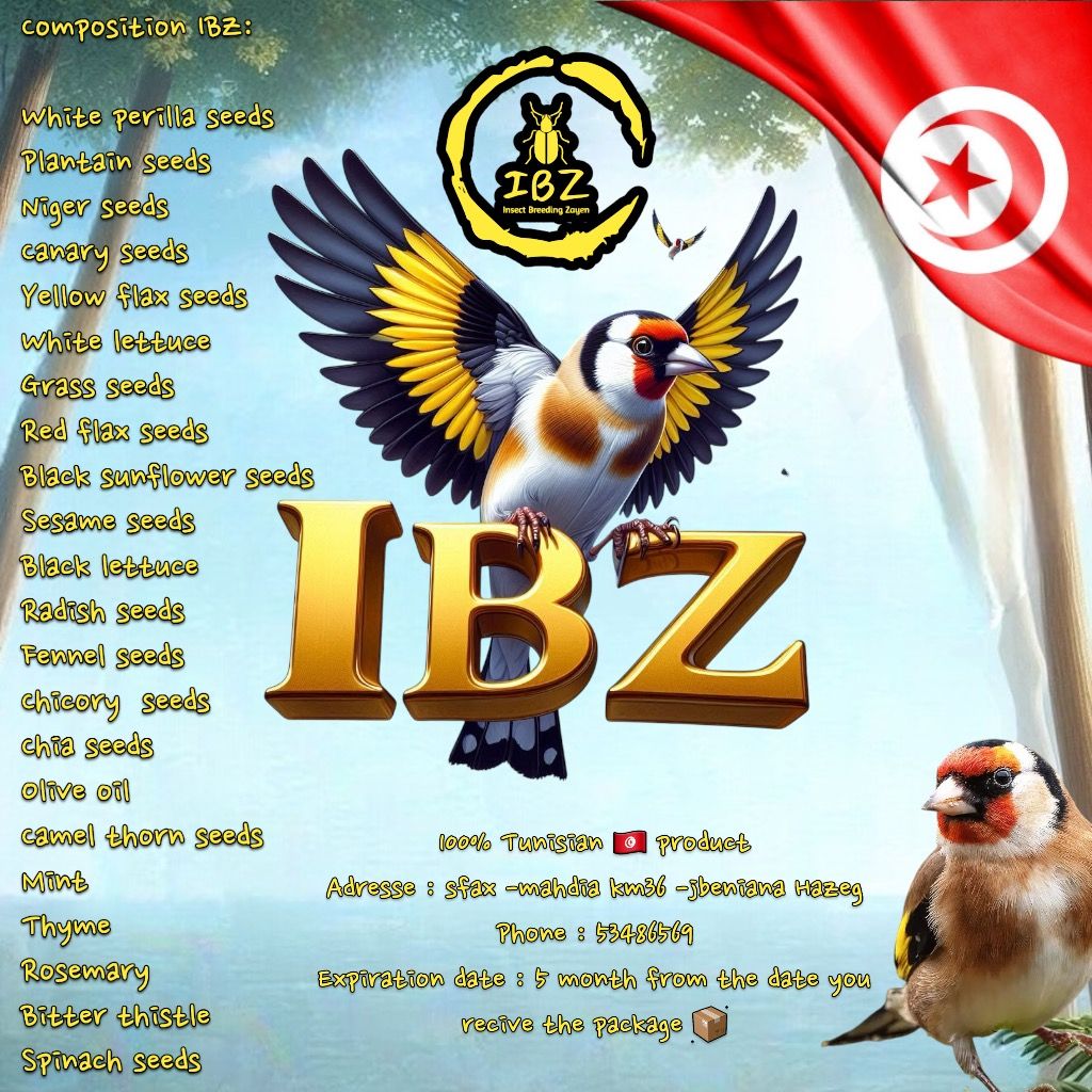 IBZ-Blanc _4