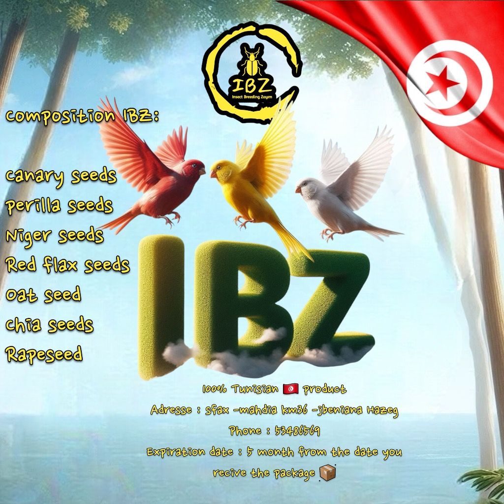 IBZ-MK1_2