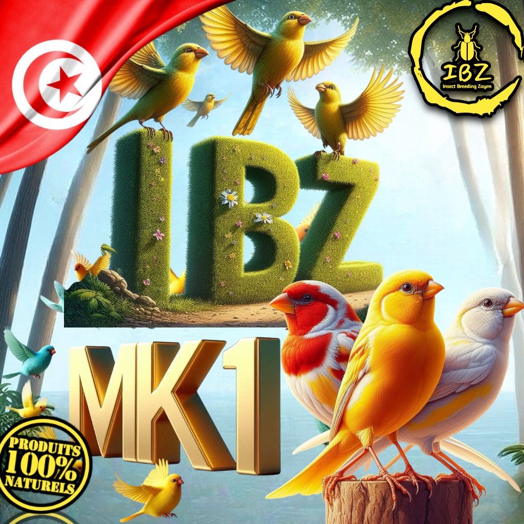 IBZ-MK1_1