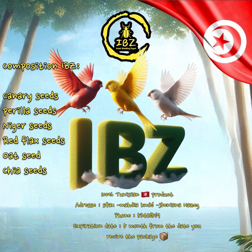 IBZ-MK2_1