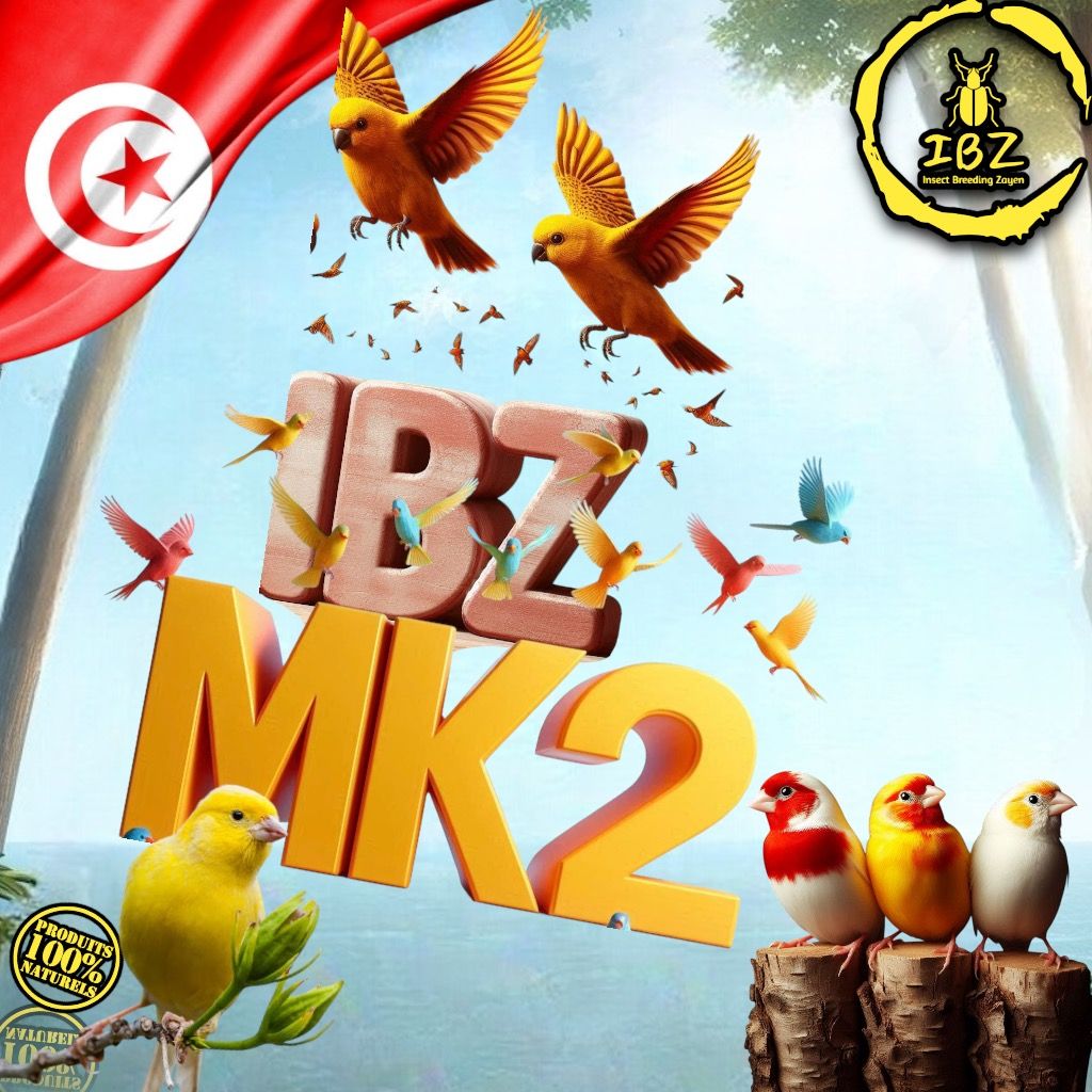 IBZ-MK2_2