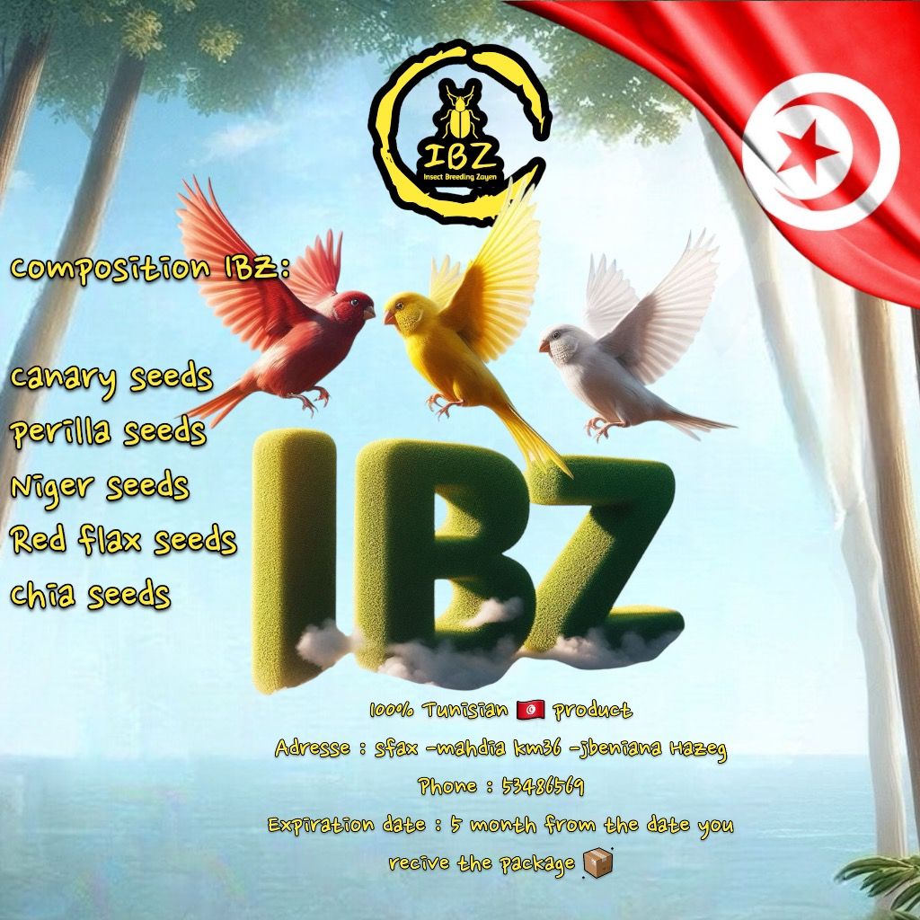 IBZ-MK3_5