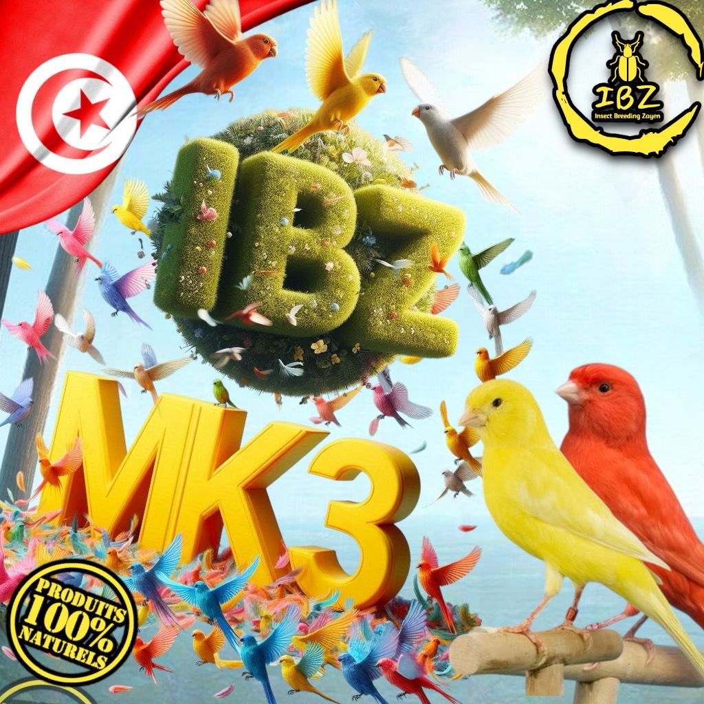 IBZ-MK3_4