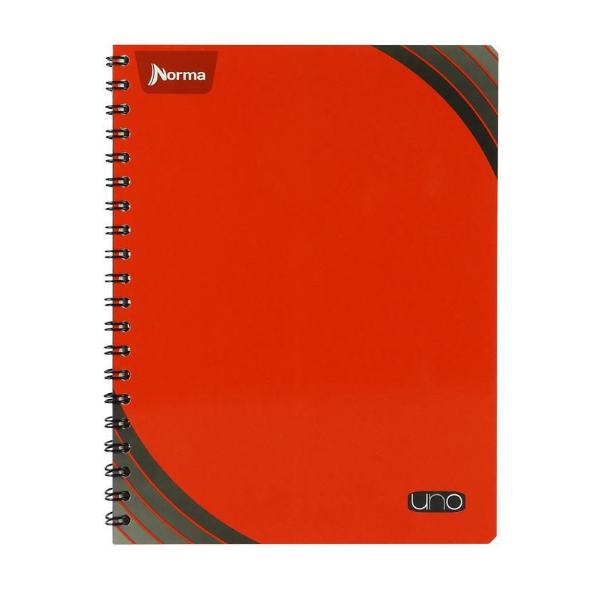 Cuaderno Profesional Norma Uno 100hj._0