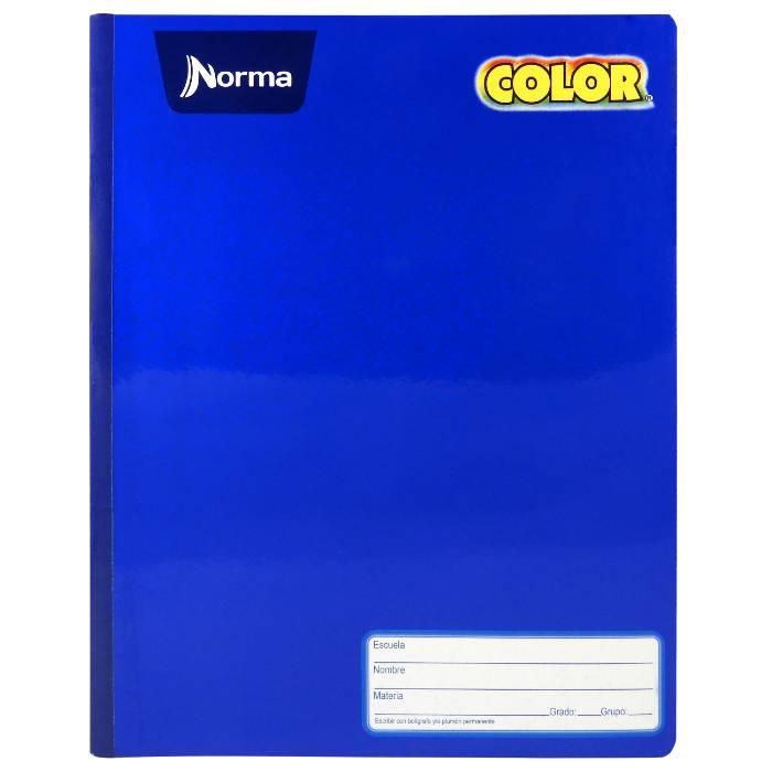 Cuaderno Profesional Cosido Norma 100h. _0