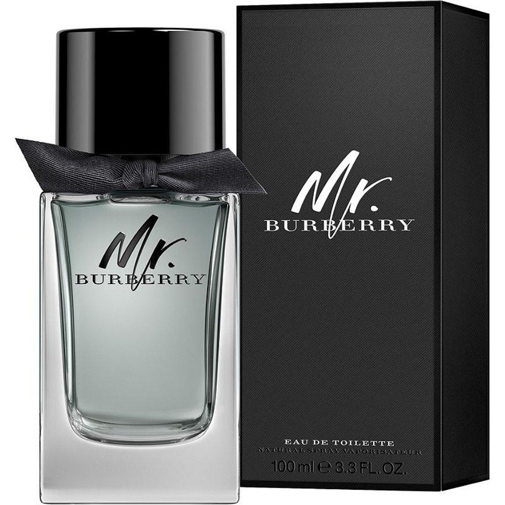 BURBERRY - MR INDIGO | EDT 100mL_0