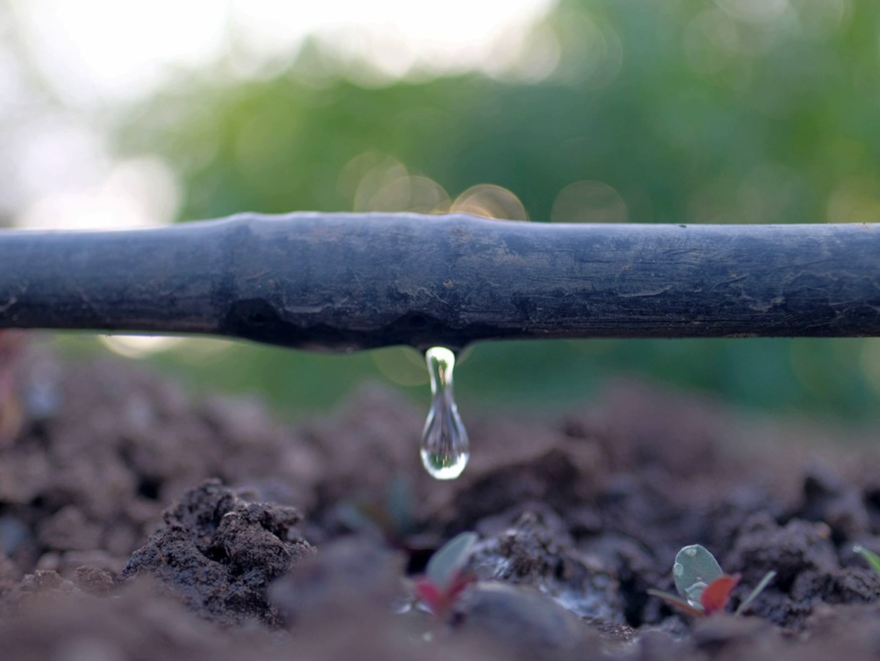 Systèmes d'irrigation goutte-à-goutte_3