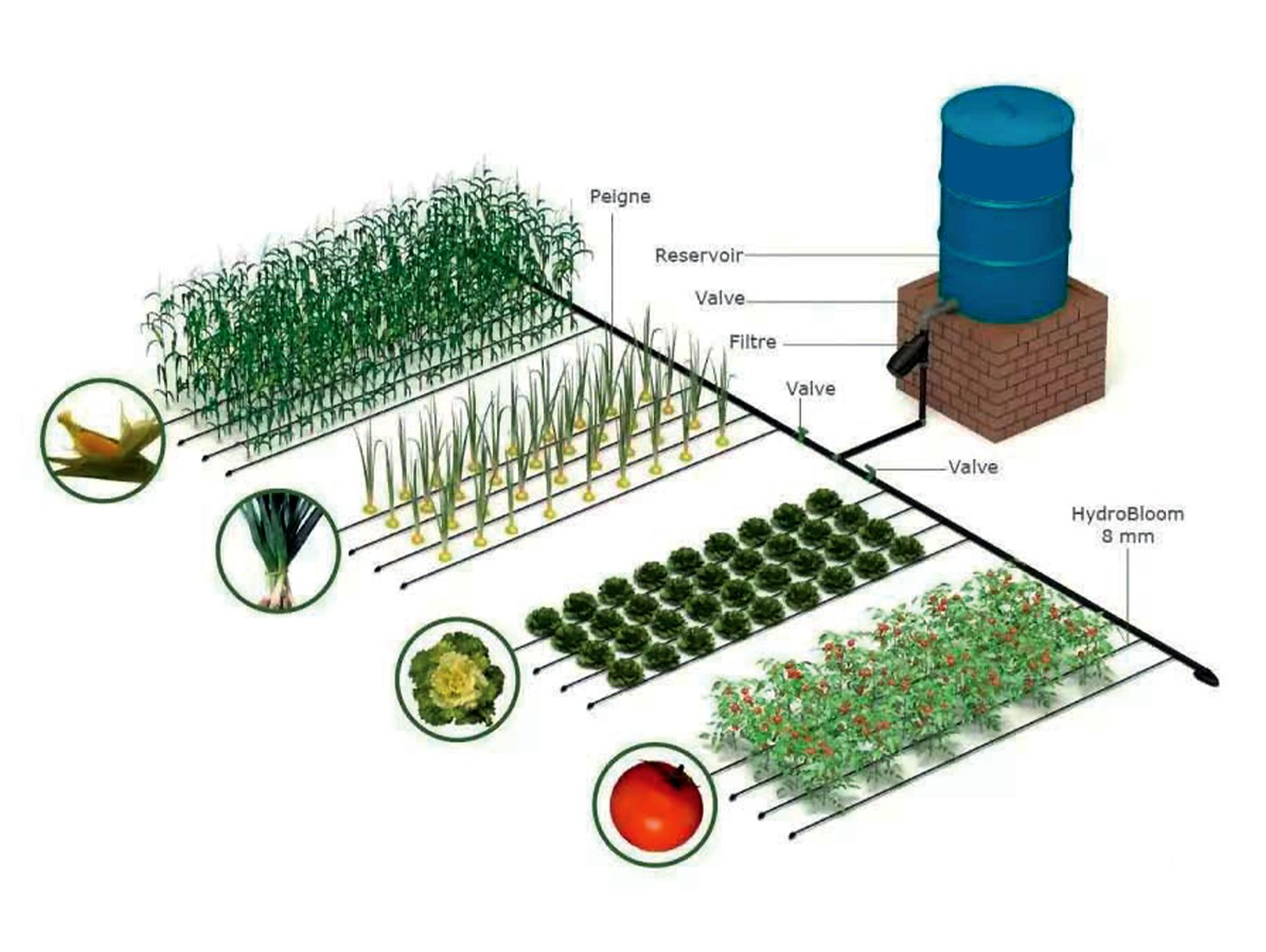 Systèmes d'irrigation goutte-à-goutte_4