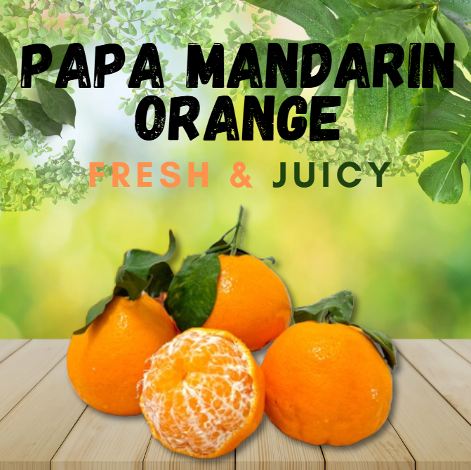 PAPA MANDARIN ORANGE_0