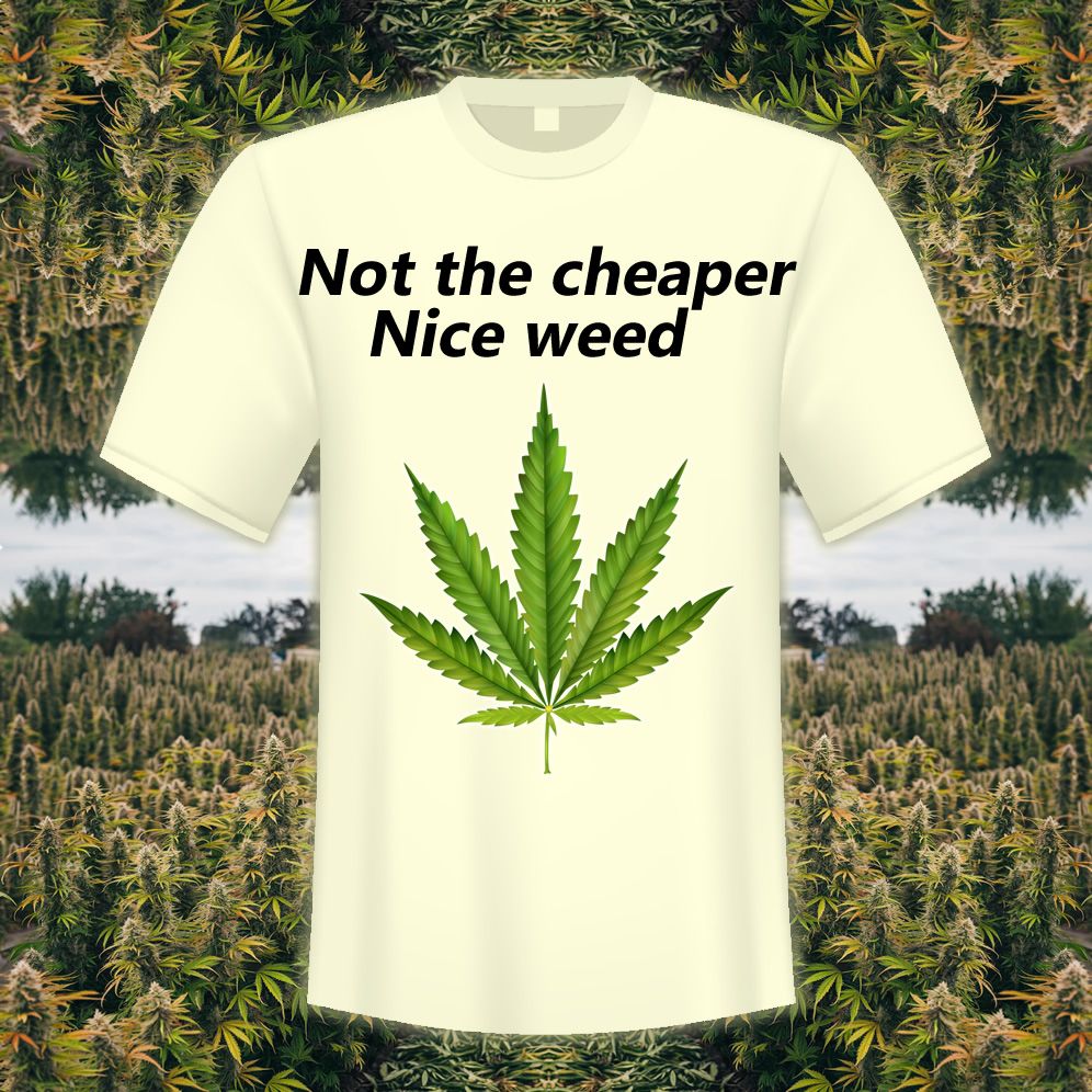 Not expensive, not the cheaper_0