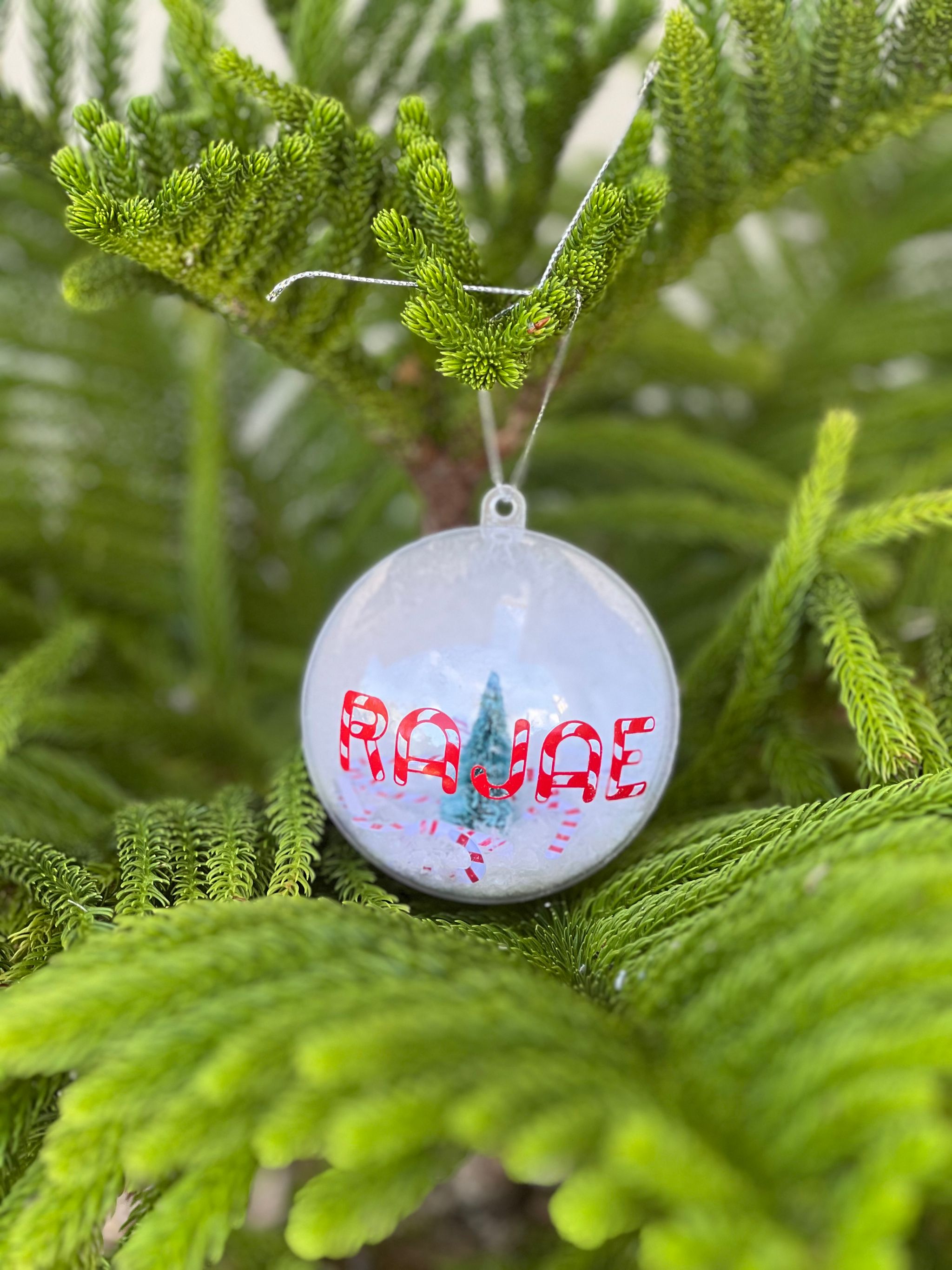 Christmas Ornament _1