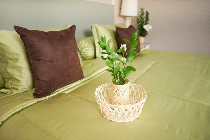 Sleep Buddy Set Sprei Plain Serries Green Lyocell 60s_0