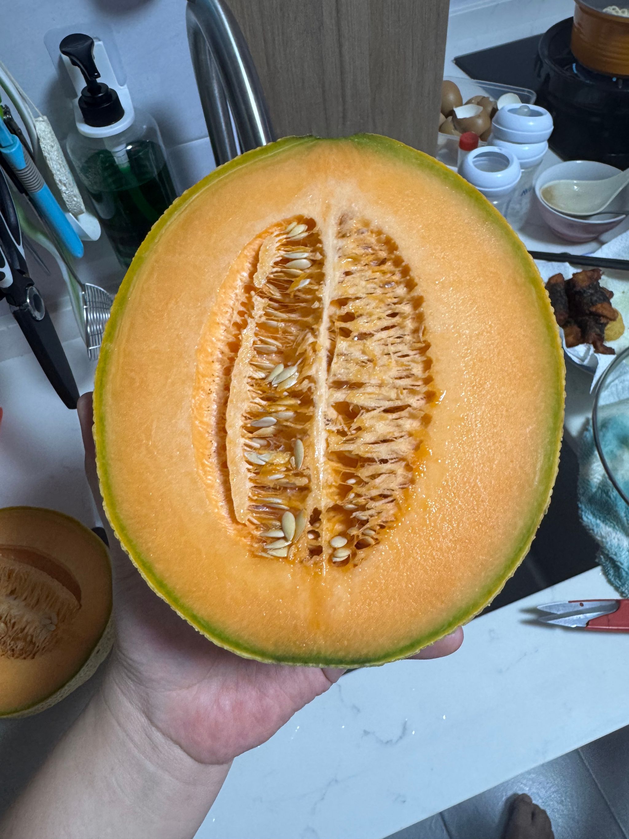 Australia Dawson Rock Melon _0