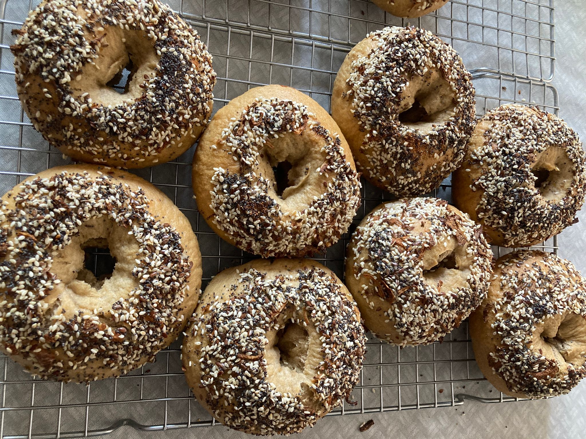 Sourdough Bagels בייגל מחמצת_0