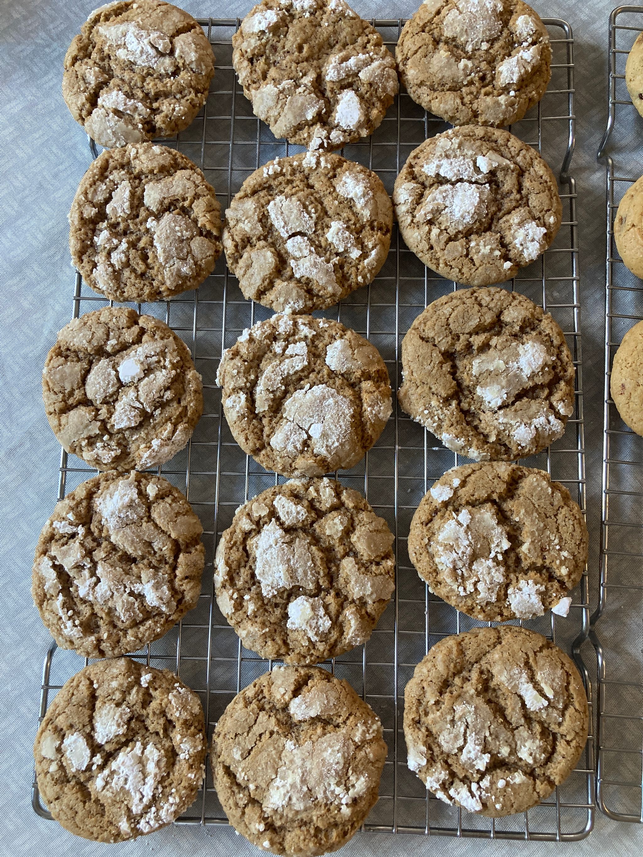 Ginger Spices Sourdough Cookies עוגיות מחמצת ג'ינג'ר _0