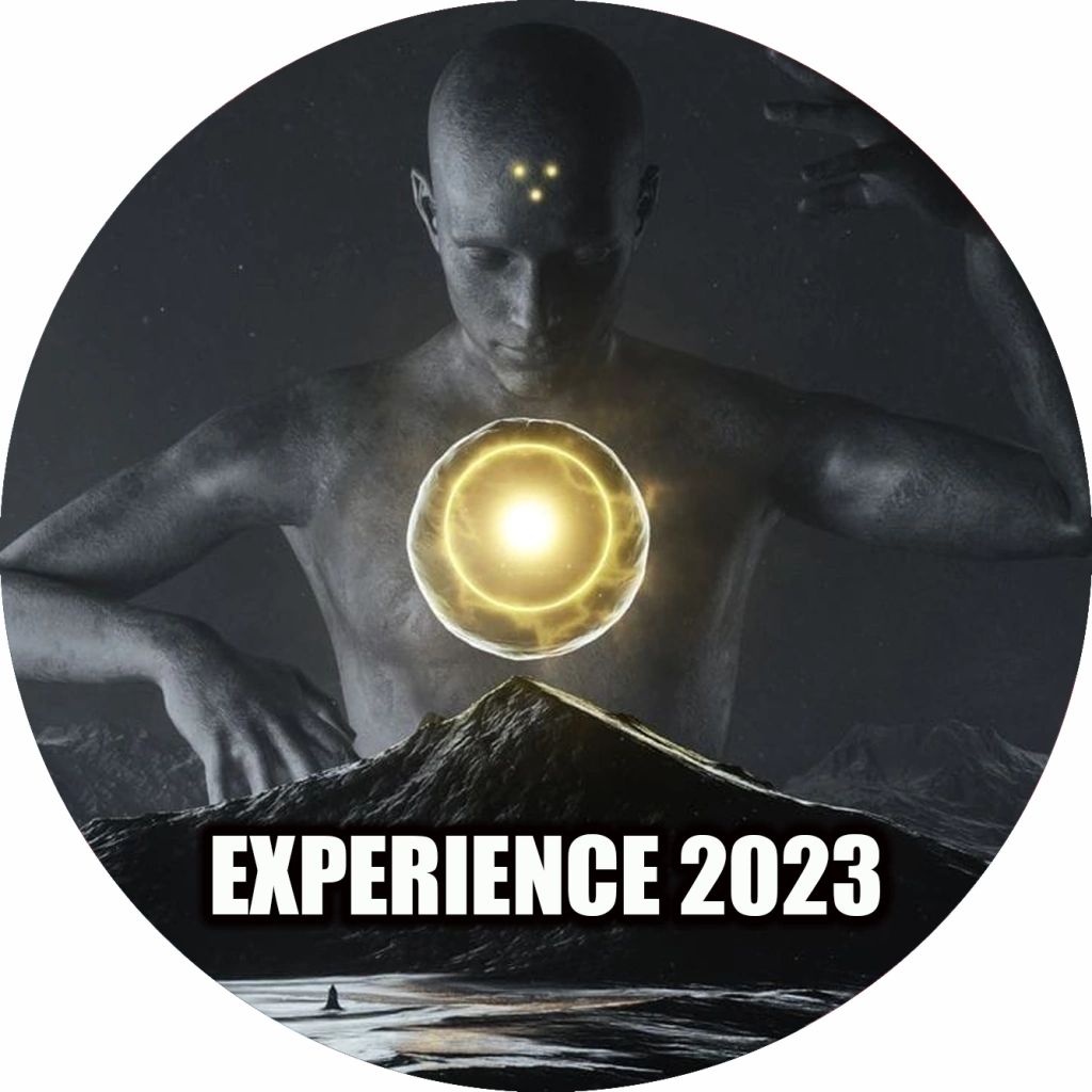 Step "Experience 2023"_0