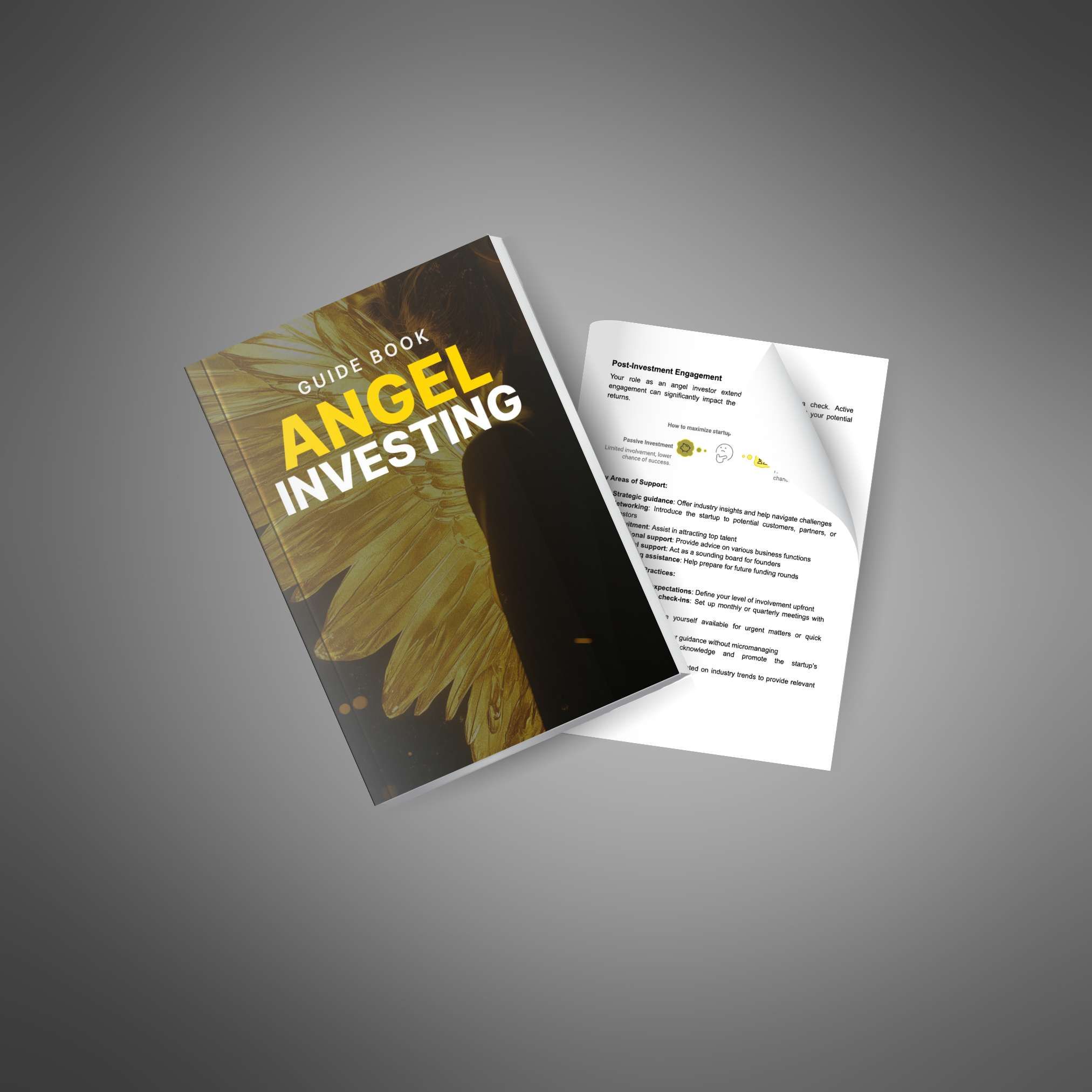 Angel Investing - Guide_3