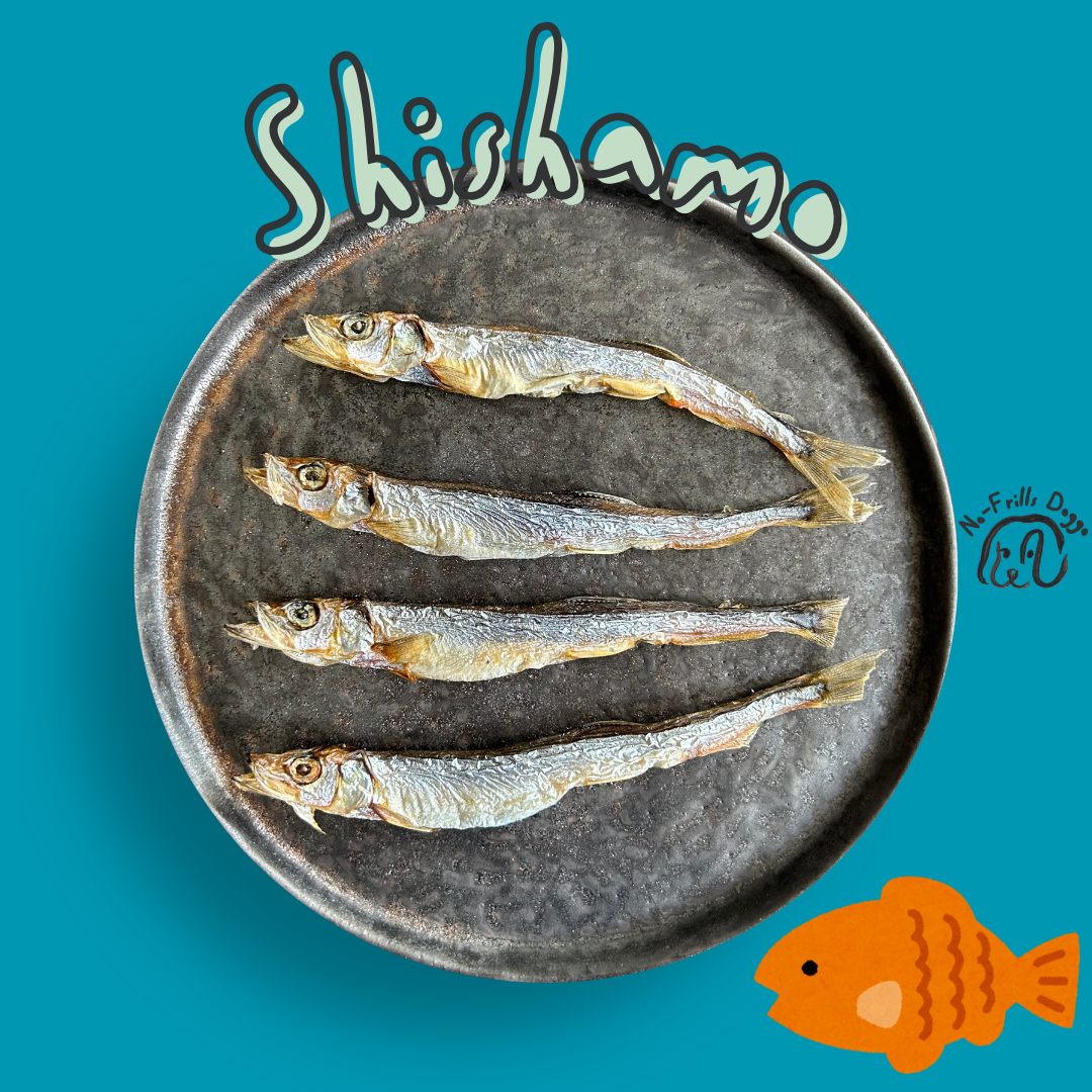 Shishamo_0