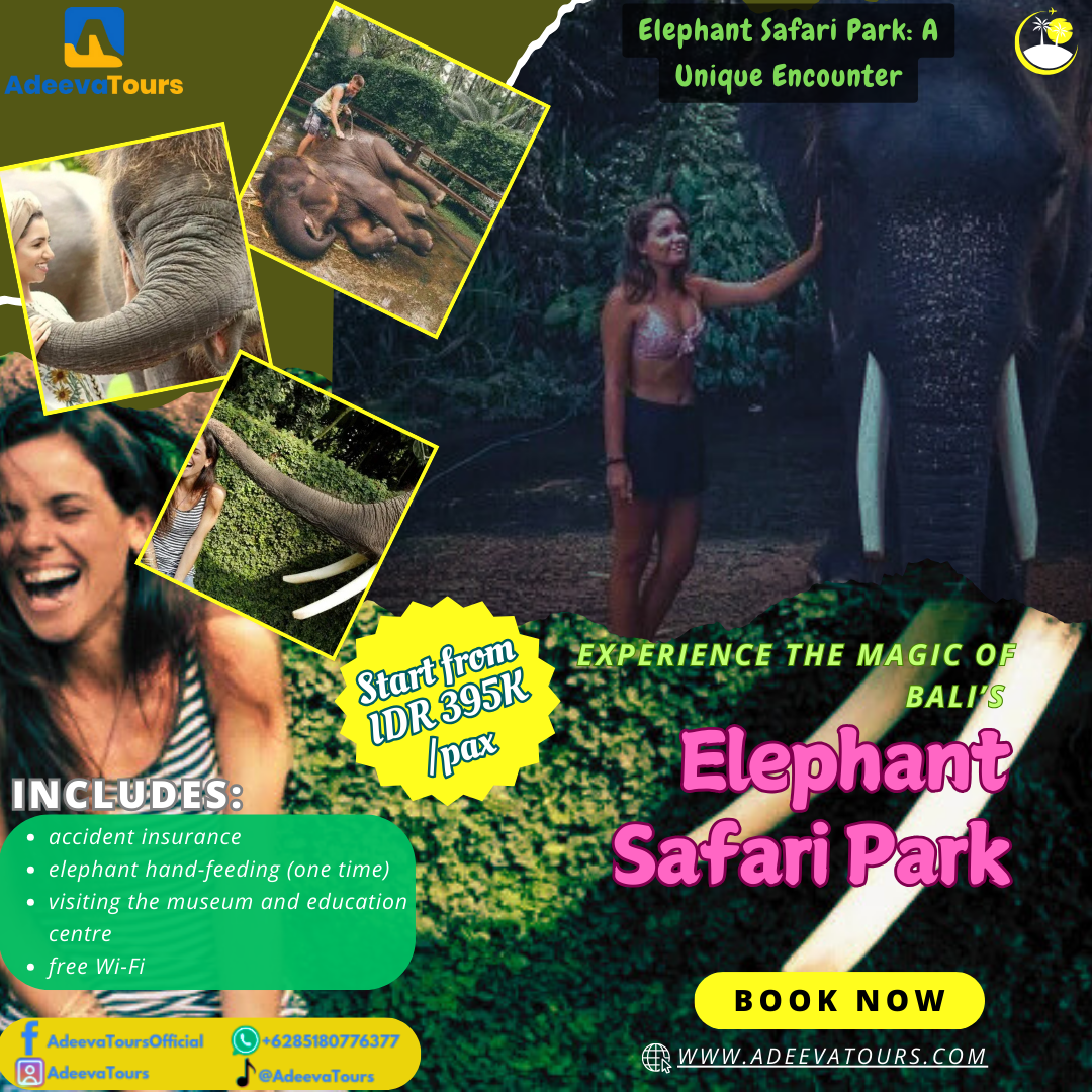 Elephant Safari Park: A Unique Encounter_0