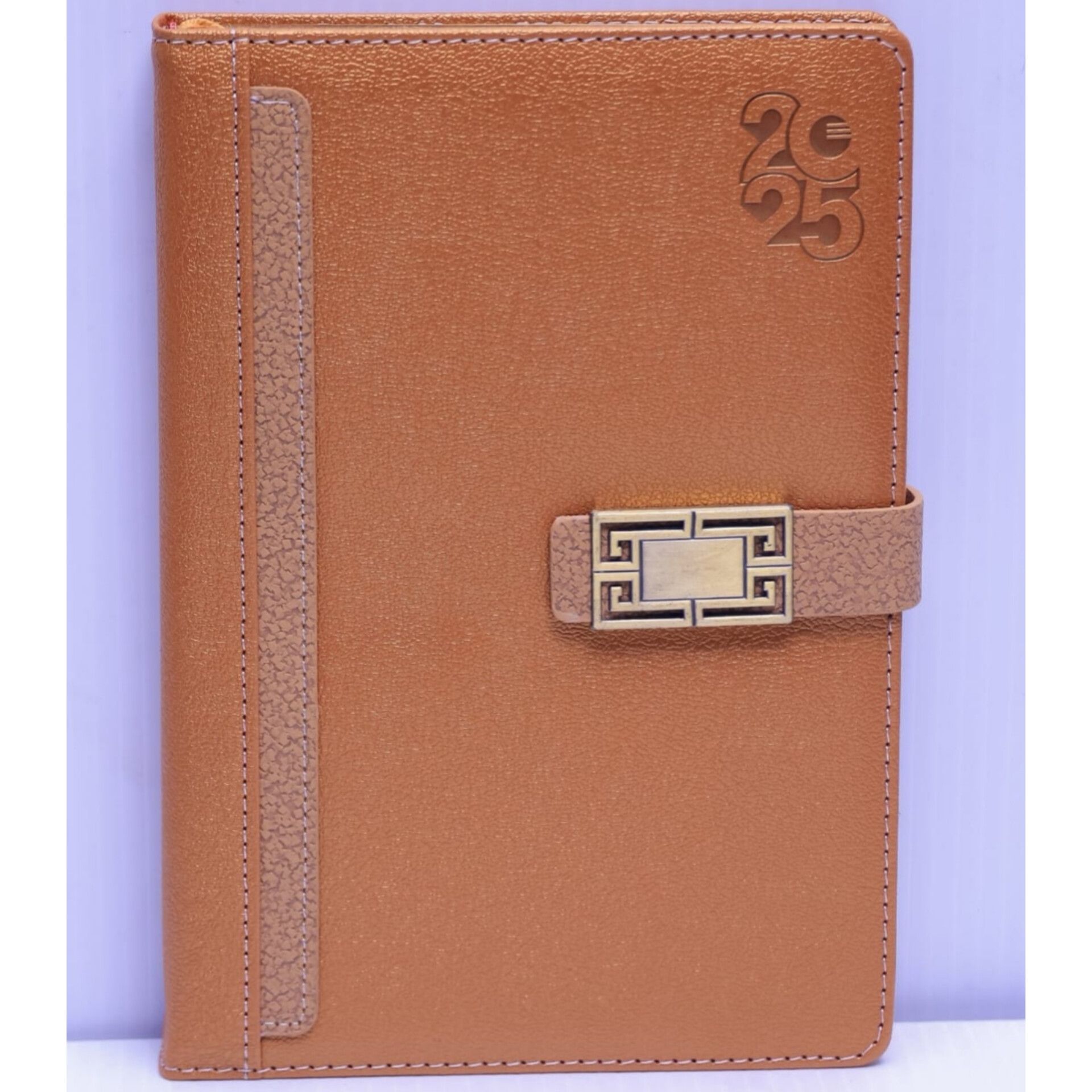 A5 2025 Diary (004)_0