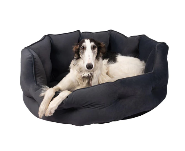 Monarch Dog Bed - Grey_0