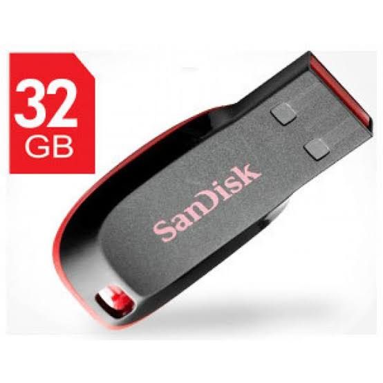 SANDISK FLASHDISK_0
