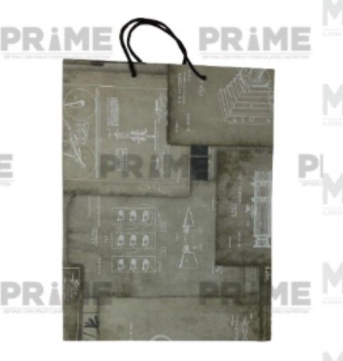 Designer Printed Paper Bag_1