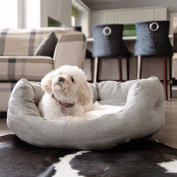 dog bed test 4_1