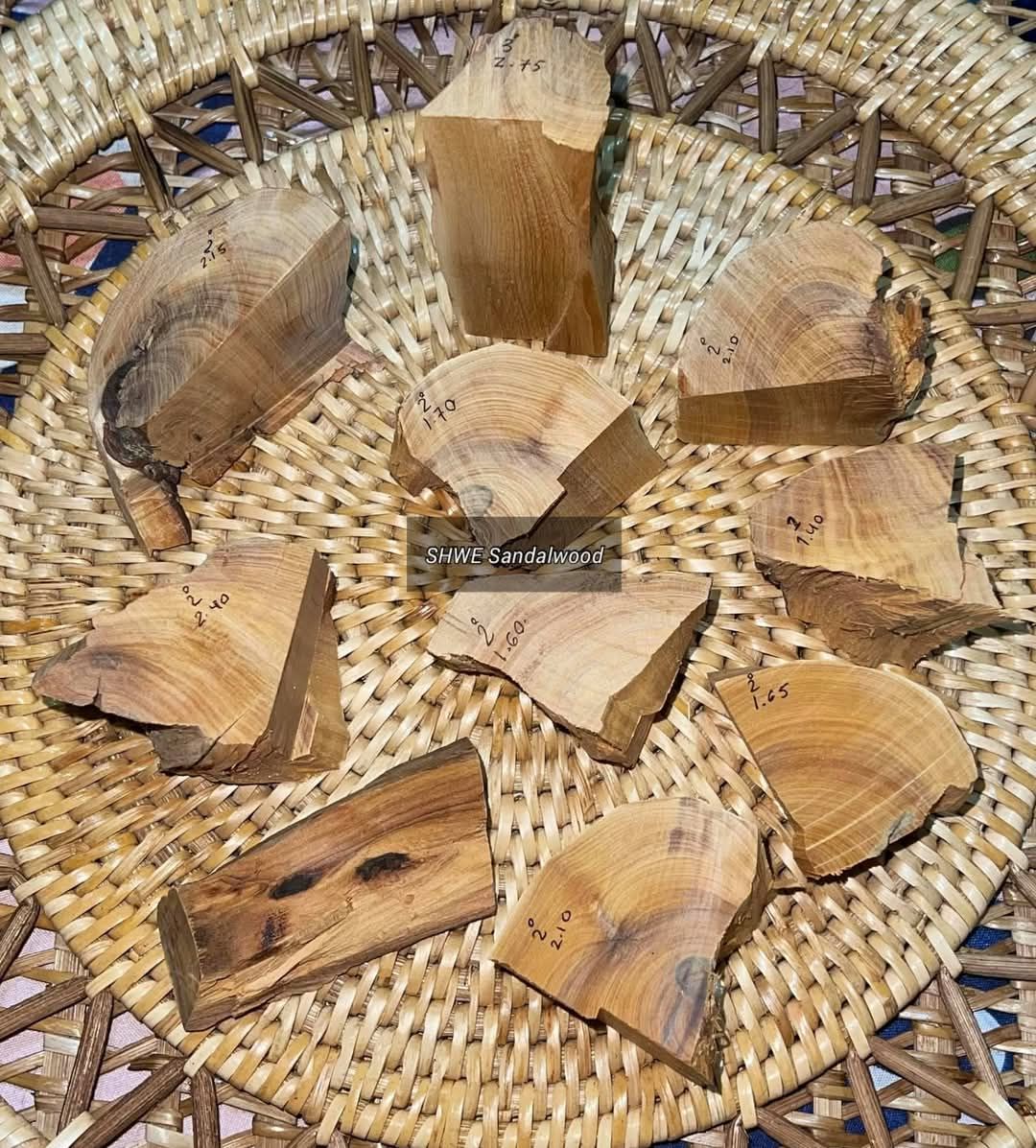Shwe Sandalwood_ဩစတေးလျ တောင်နံကတိုး_18