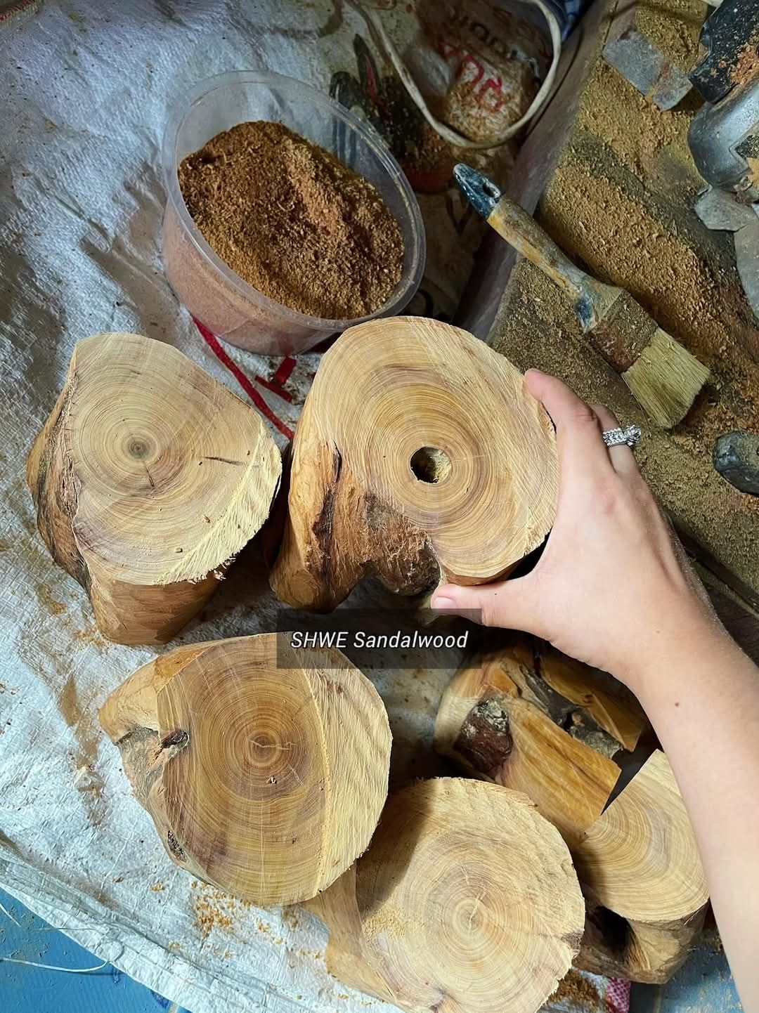 Shwe Sandalwood_ဩစတေးလျ တောင်နံကတိုး_123
