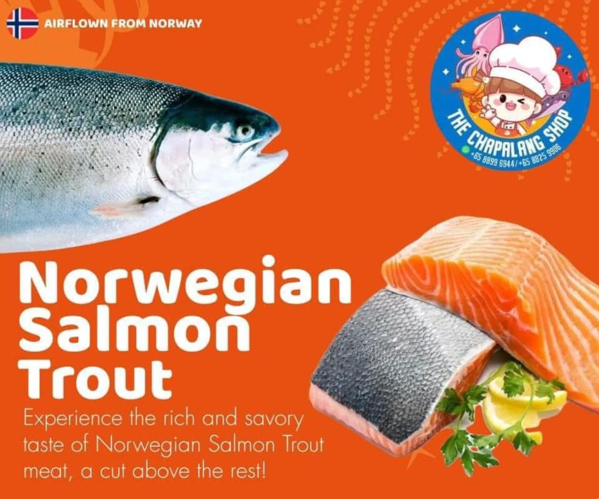 Norwegian Salmon Trout 3kg_0