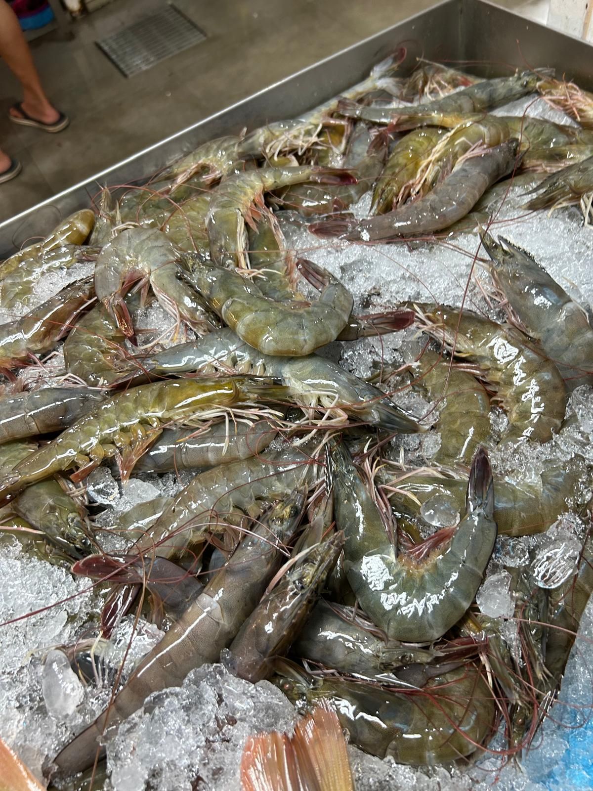 Prawn 25-30 pcs $30.00/kg_1
