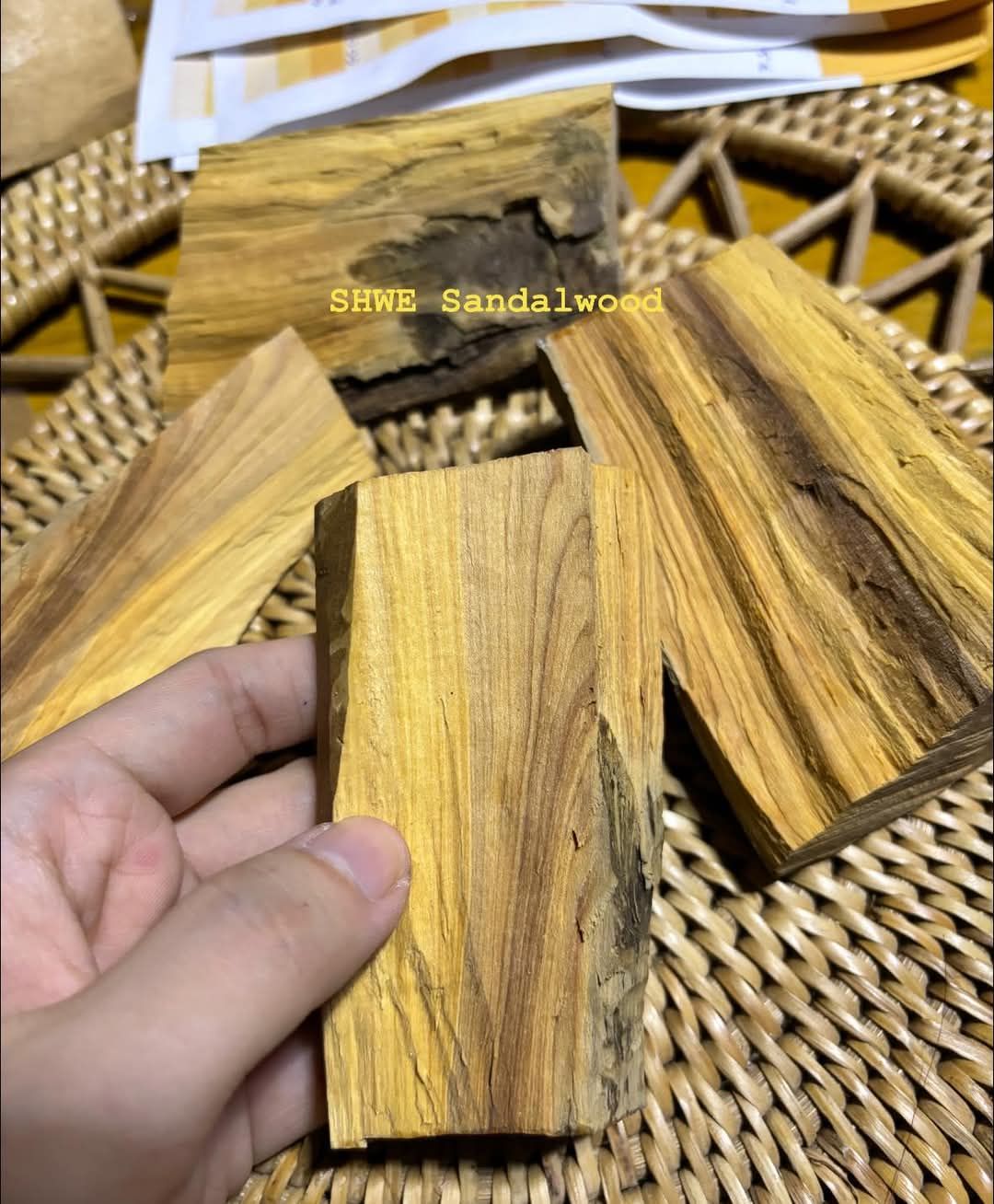 Shwe Sandalwood_ဩစတေးလျ တောင်နံကတိုး_137