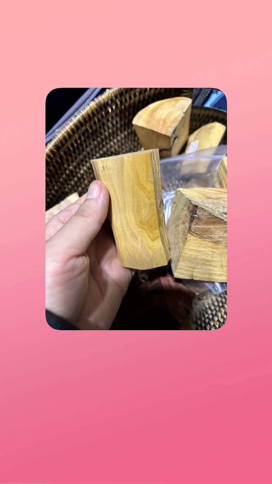 Shwe Sandalwood_ဩစတေးလျ တောင်နံကတိုး_117