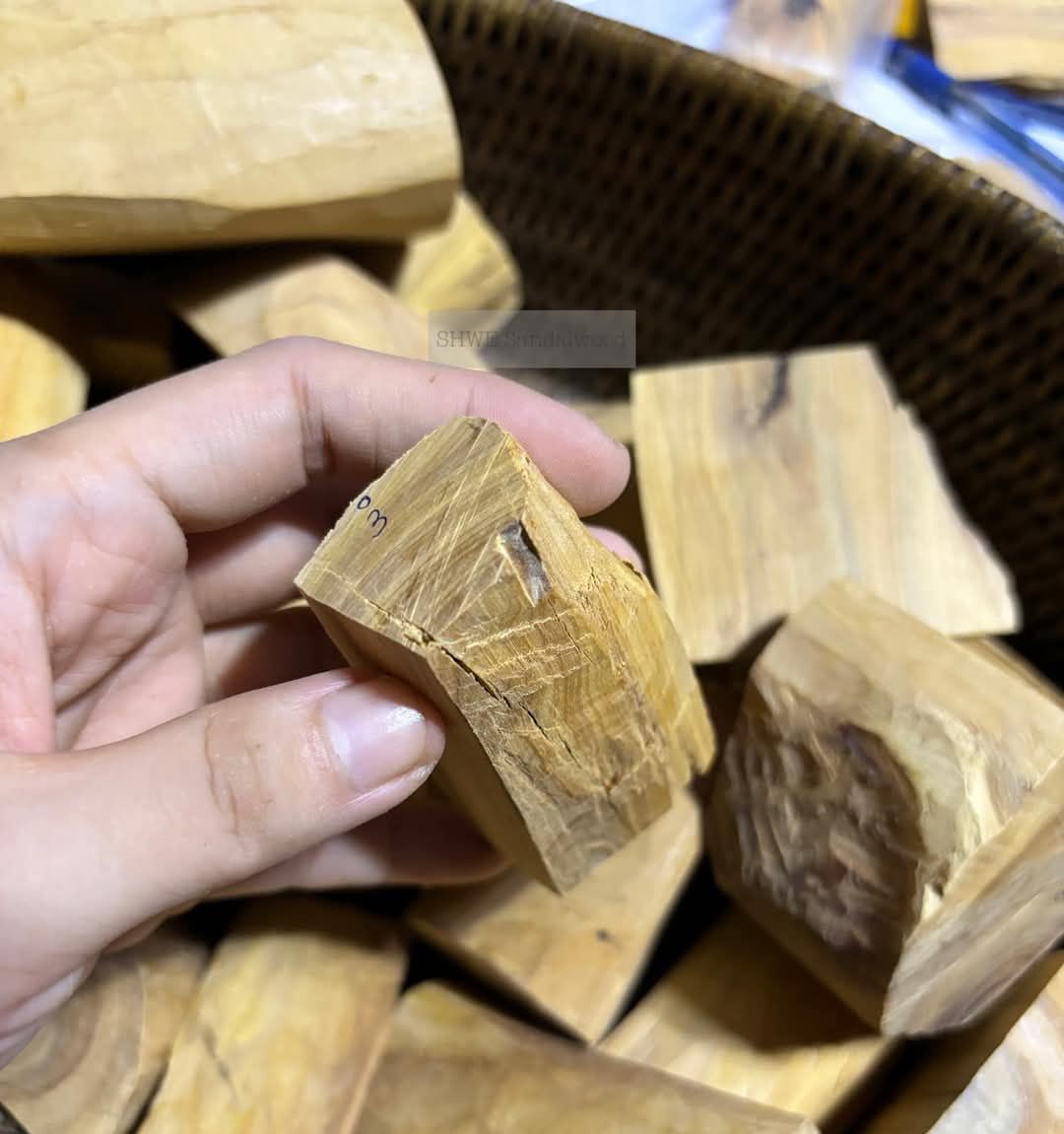 Shwe Sandalwood_ဩစတေးလျ တောင်နံကတိုး_132