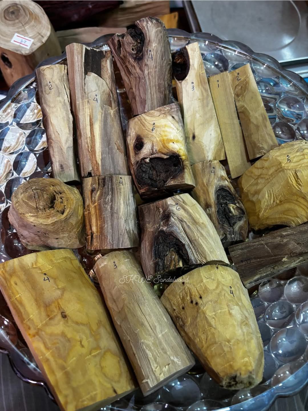 Shwe Sandalwood_ဩစတေးလျ တောင်နံကတိုး_28