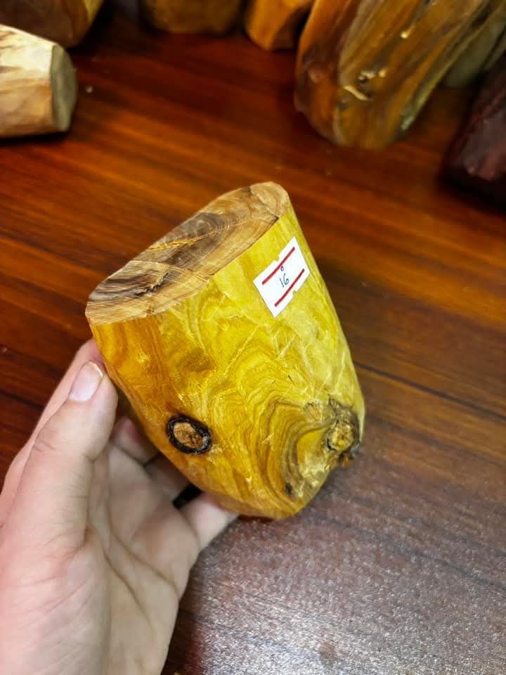 Shwe Sandalwood_ဩစတေးလျ တောင်နံကတိုး_126