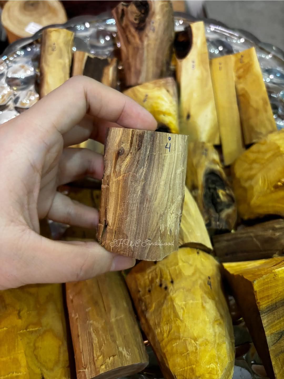 Shwe Sandalwood_ဩစတေးလျ တောင်နံကတိုး_135