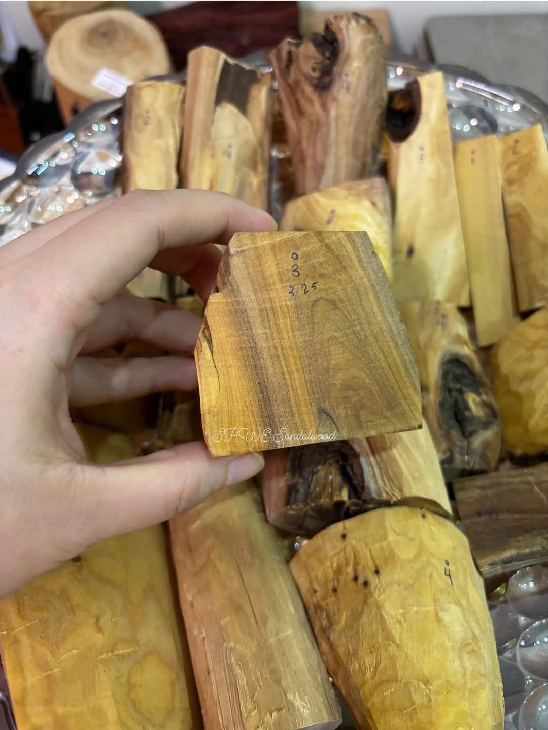Shwe Sandalwood_ဩစတေးလျ တောင်နံကတိုး_136