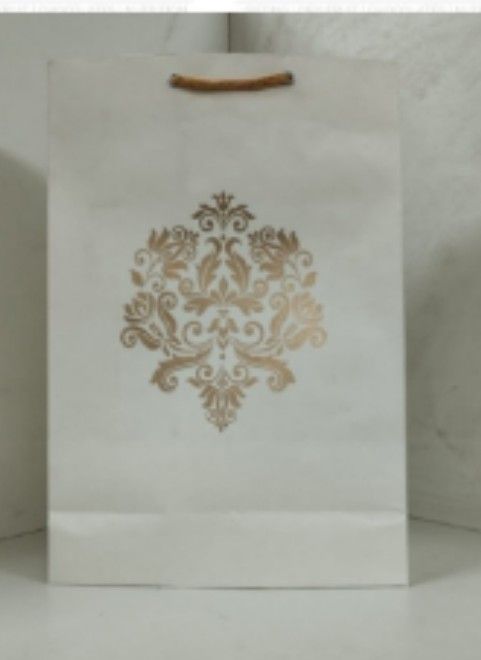 Bag Paper Designer 15X10 in White_1