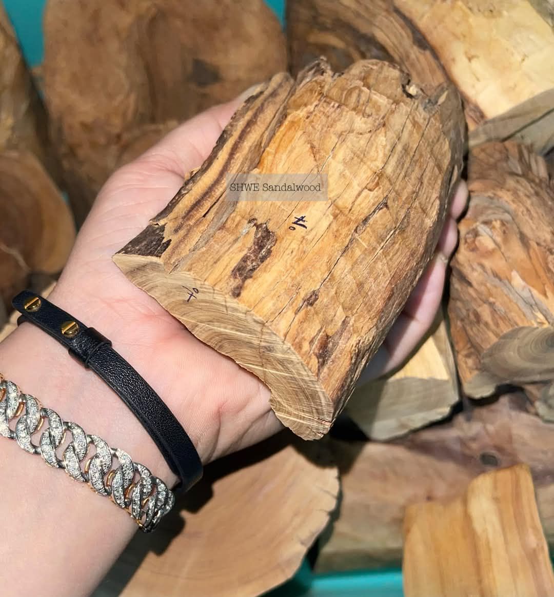 Shwe Sandalwood_ဩစတေးလျ တောင်နံကတိုး_160
