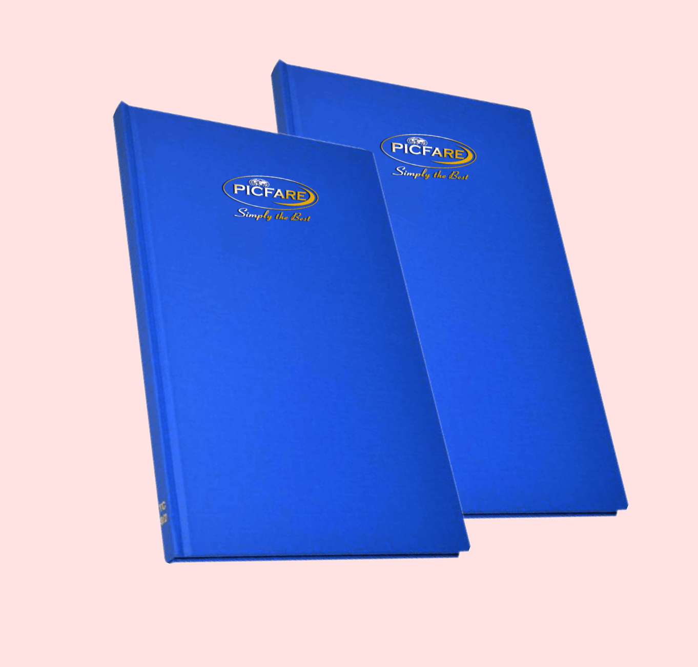 BLUE MANUSCRIPT COUNTER BOOKS_0